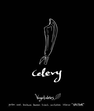 Sebze ve meyve resimler / el çekilmiş gıda maddeleri - vektör