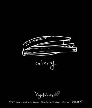 Sebze ve meyve resimler / el çekilmiş gıda maddeleri - vektör