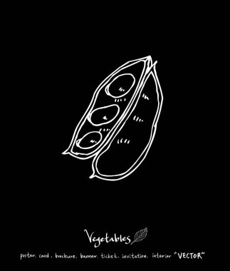 Sebze ve meyve resimler / el çekilmiş gıda maddeleri - vektör