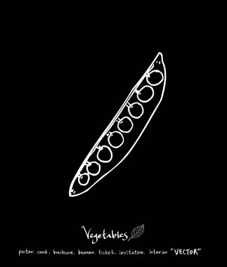 Sebze ve meyve resimler / el çekilmiş gıda maddeleri - vektör