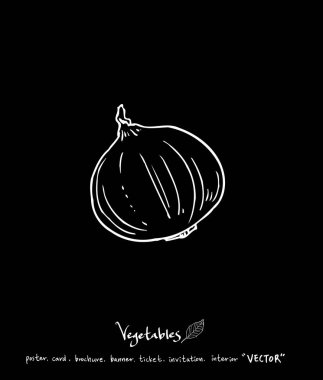 Sebze ve meyve resimler / el çekilmiş gıda maddeleri - vektör