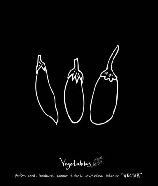 Sebze ve meyve resimler / el çekilmiş gıda maddeleri - vektör