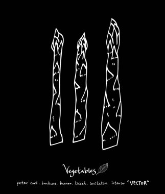 Sebze ve meyve resimler / el çekilmiş gıda maddeleri - vektör