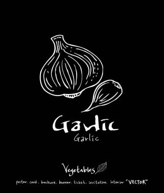 Sebze ve meyve resimler / el çekilmiş gıda maddeleri - vektör