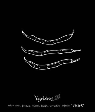 Sebze ve meyve resimler / el çekilmiş gıda maddeleri - vektör