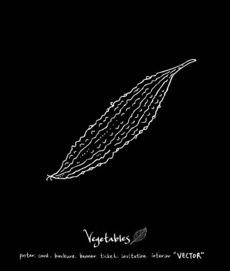 Sebze ve meyve resimler / el çekilmiş gıda maddeleri - vektör