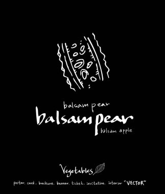 Sebze ve meyve resimler / el çekilmiş gıda maddeleri - vektör