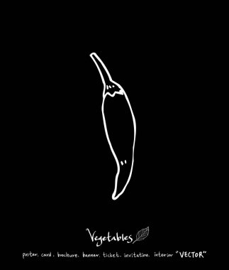 Sebze ve meyve resimler / el çekilmiş gıda maddeleri - vektör