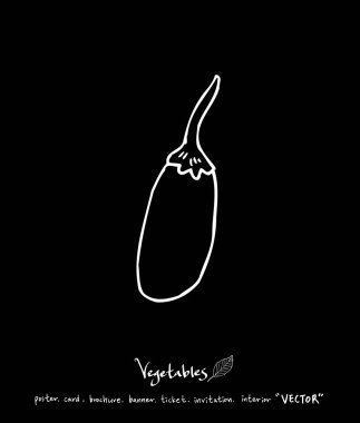 Sebze ve meyve resimler / el çekilmiş gıda maddeleri - vektör