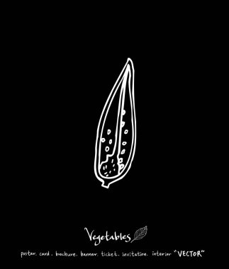 Sebze ve meyve resimler / el çekilmiş gıda maddeleri - vektör