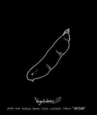 Sebze ve meyve resimler / el çekilmiş gıda maddeleri - vektör