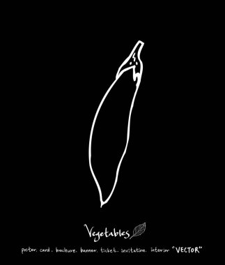 Sebze ve meyve resimler / el çekilmiş gıda maddeleri - vektör