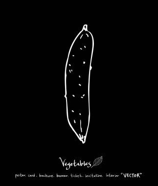 Sebze ve meyve resimler / el çekilmiş gıda maddeleri - vektör