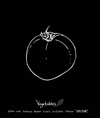 Sebze ve meyve resimler / el çekilmiş gıda maddeleri - vektör