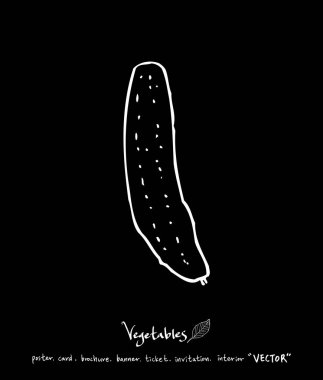 Sebze ve meyve resimler / el çekilmiş gıda maddeleri - vektör