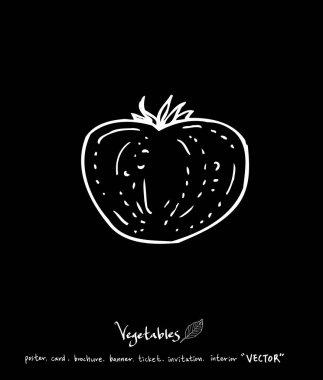 Sebze ve meyve resimler / el çekilmiş gıda maddeleri - vektör