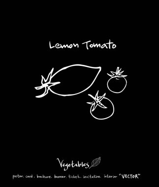 Sebze ve meyve resimler / el çekilmiş gıda maddeleri - vektör