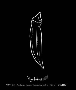 Sebze ve meyve resimler / el çekilmiş gıda maddeleri - vektör