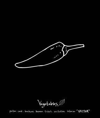 Sebze ve meyve resimler / el çekilmiş gıda maddeleri - vektör