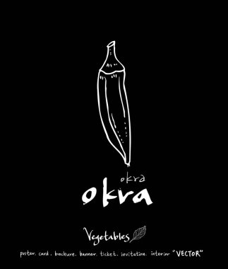 Sebze ve meyve resimler / el çekilmiş gıda maddeleri - vektör