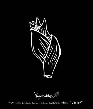 Sebze ve meyve resimler / el çekilmiş gıda maddeleri - vektör