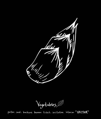 Sebze ve meyve resimler / el çekilmiş gıda maddeleri - vektör