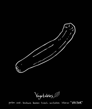 Sebze ve meyve resimler / el çekilmiş gıda maddeleri - vektör