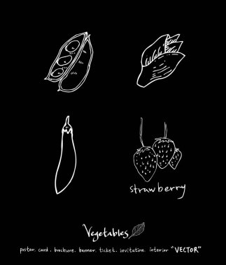 Sebze ve meyve resimler / el çekilmiş gıda maddeleri - vektör