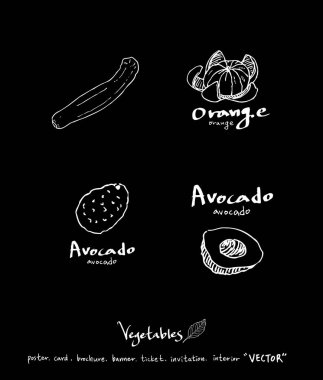 Sebze ve meyve resimler / el çekilmiş gıda maddeleri - vektör