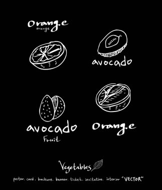 Sebze ve meyve resimler / el çekilmiş gıda maddeleri - vektör