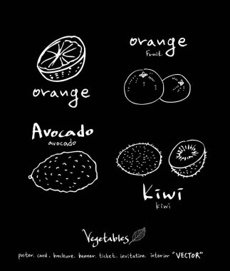 Sebze ve meyve resimler / el çekilmiş gıda maddeleri - vektör