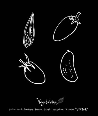 Sebze ve meyve resimler / el çekilmiş gıda maddeleri - vektör
