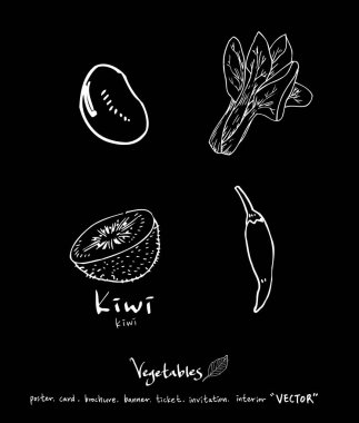Sebze ve meyve resimler / el çekilmiş gıda maddeleri - vektör