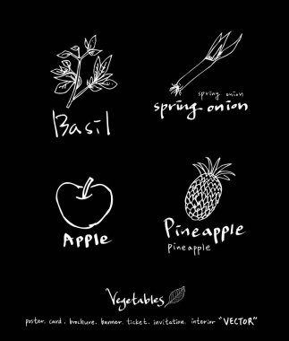Sebze ve meyve resimler / el çekilmiş gıda maddeleri - vektör