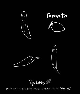 Sebze ve meyve resimler / el çekilmiş gıda maddeleri - vektör