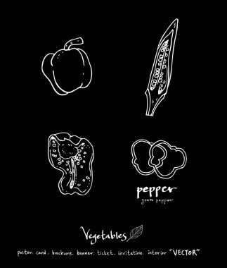 Sebze ve meyve resimler / el çekilmiş gıda maddeleri - vektör