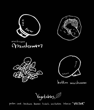 Sebze ve meyve resimler / el çekilmiş gıda maddeleri - vektör