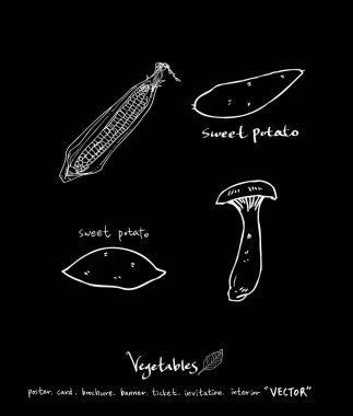 Sebze ve meyve resimler / el çekilmiş gıda maddeleri - vektör