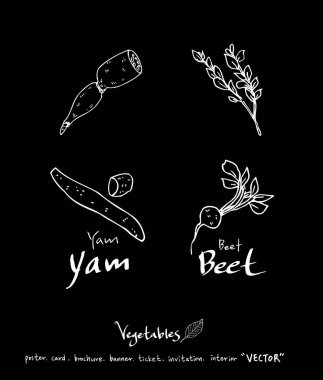 Sebze ve meyve resimler / el çekilmiş gıda maddeleri - vektör