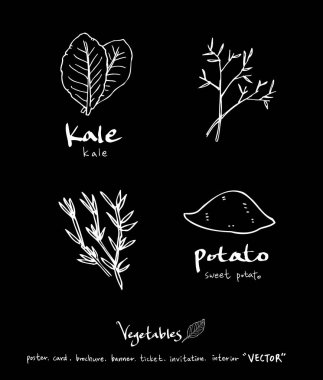 Sebze ve meyve resimler / el çekilmiş gıda maddeleri - vektör