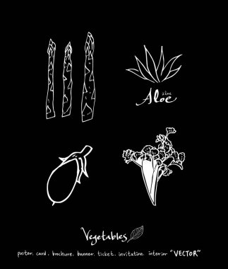 Sebze ve meyve resimler / el çekilmiş gıda maddeleri - vektör