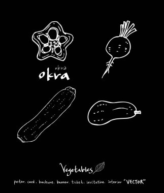 Sebze ve meyve resimler / el çekilmiş gıda maddeleri - vektör