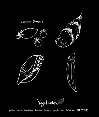Sebze ve meyve resimler / el çekilmiş gıda maddeleri - vektör