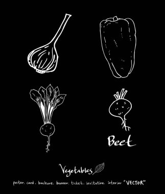 Sebze ve meyve resimler / el çekilmiş gıda maddeleri - vektör
