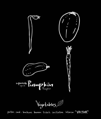 Sebze ve meyve resimler / el çekilmiş gıda maddeleri - vektör