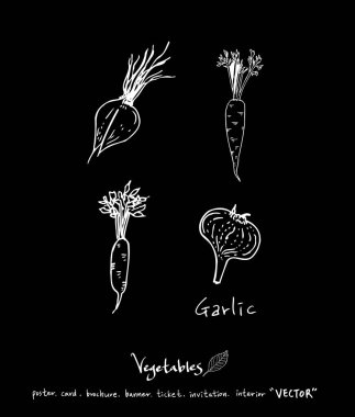 Sebze ve meyve resimler / el çekilmiş gıda maddeleri - vektör