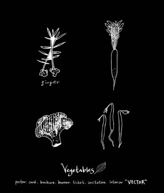 Sebze ve meyve resimler / el çekilmiş gıda maddeleri - vektör
