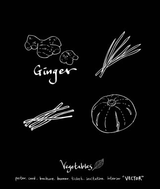 Sebze ve meyve resimler / el çekilmiş gıda maddeleri - vektör