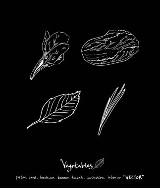 Sebze ve meyve resimler / el çekilmiş gıda maddeleri - vektör
