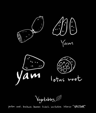 Sebze ve meyve resimler / el çekilmiş gıda maddeleri - vektör